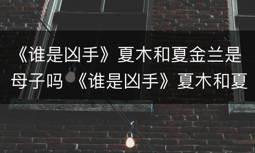 《谁是凶手》夏木和夏金兰是母子吗 《谁是凶手》夏木和夏金兰是母子吗视频