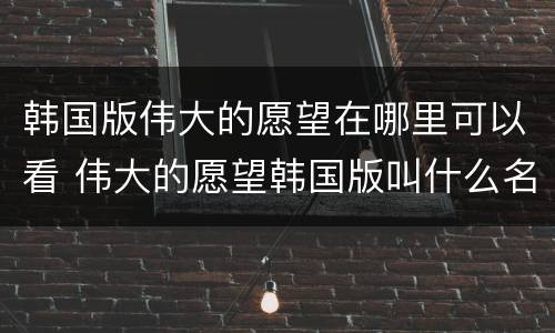 韩国版伟大的愿望在哪里可以看 伟大的愿望韩国版叫什么名字