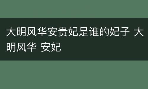 大明风华安贵妃是谁的妃子 大明风华 安妃