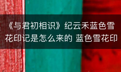 《与君初相识》纪云禾蓝色雪花印记是怎么来的 蓝色雪花印记是什么东西