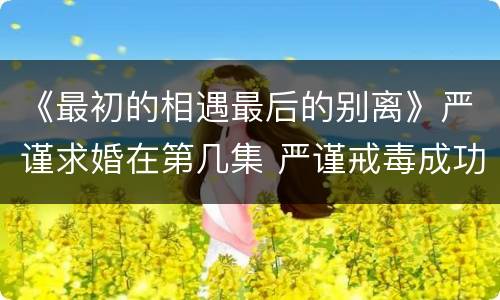 《最初的相遇最后的别离》严谨求婚在第几集 严谨戒毒成功了吗
