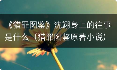 《猎罪图鉴》沈翊身上的往事是什么（猎罪图鉴原著小说）