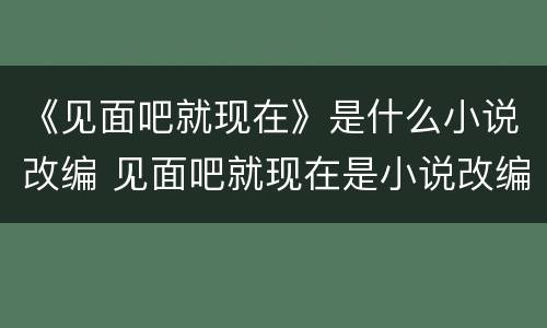 《见面吧就现在》是什么小说改编 见面吧就现在是小说改编吗
