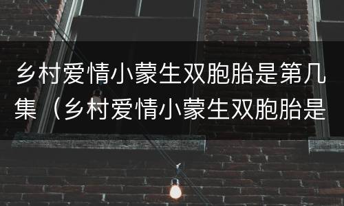 乡村爱情小蒙生双胞胎是第几集（乡村爱情小蒙生双胞胎是第几集视频）