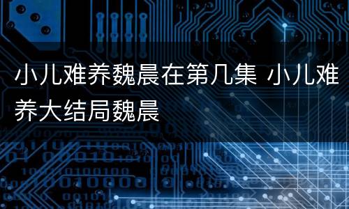 小儿难养魏晨在第几集 小儿难养大结局魏晨