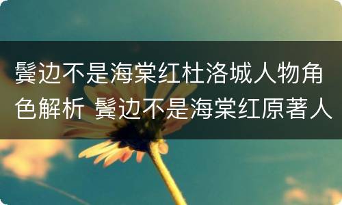 鬓边不是海棠红杜洛城人物角色解析 鬓边不是海棠红原著人物关系