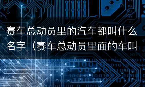 赛车总动员里的汽车都叫什么名字（赛车总动员里面的车叫什么名字）