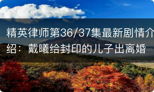 精英律师第36/37集最新剧情介绍：戴曦给封印的儿子出离婚主意