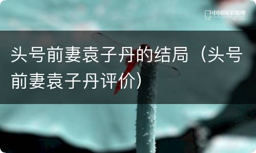 头号前妻袁子丹的结局（头号前妻袁子丹评价）