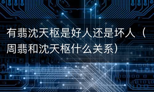 有翡沈天枢是好人还是坏人（周翡和沈天枢什么关系）