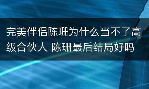 完美伴侣陈珊为什么当不了高级合伙人 陈珊最后结局好吗