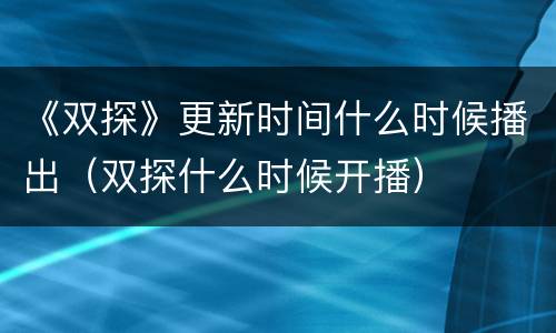《双探》更新时间什么时候播出（双探什么时候开播）