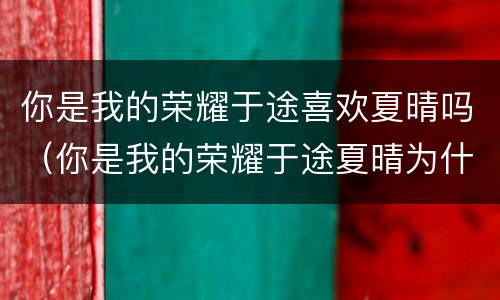 你是我的荣耀于途喜欢夏晴吗（你是我的荣耀于途夏晴为什么在一起）