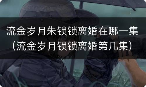 流金岁月朱锁锁离婚在哪一集（流金岁月锁锁离婚第几集）