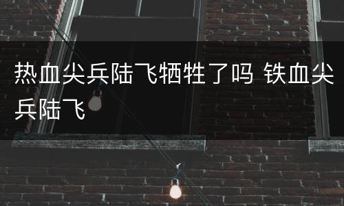 热血尖兵陆飞牺牲了吗 铁血尖兵陆飞