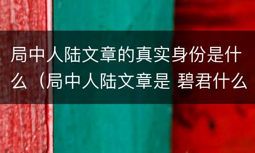 局中人陆文章的真实身份是什么（局中人陆文章是 碧君什么人）
