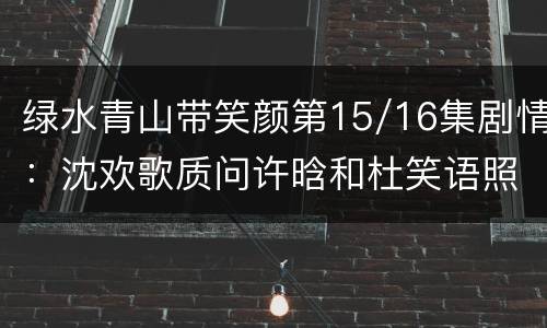 绿水青山带笑颜第15/16集剧情：沈欢歌质问许晗和杜笑语照片