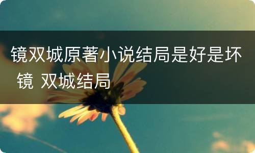 镜双城原著小说结局是好是坏 镜 双城结局