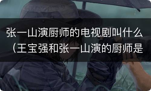 张一山演厨师的电视剧叫什么（王宝强和张一山演的厨师是什么电视）