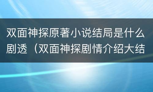 双面神探原著小说结局是什么剧透（双面神探剧情介绍大结局）