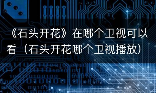 《石头开花》在哪个卫视可以看（石头开花哪个卫视播放）