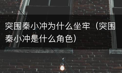 突围秦小冲为什么坐牢（突围秦小冲是什么角色）