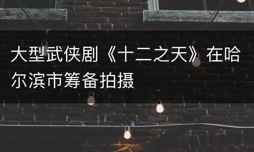 大型武侠剧《十二之天》在哈尔滨市筹备拍摄