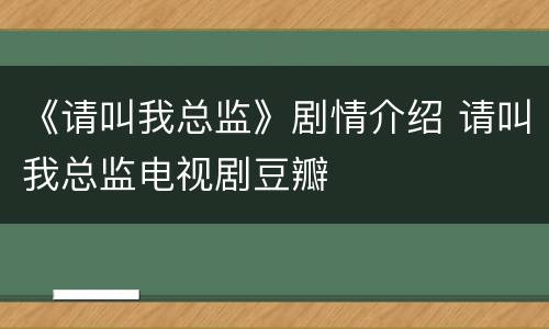 《请叫我总监》剧情介绍 请叫我总监电视剧豆瓣
