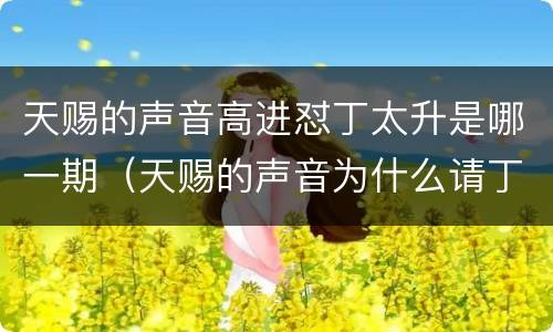 天赐的声音高进怼丁太升是哪一期（天赐的声音为什么请丁太升）