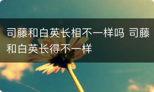司藤和白英长相不一样吗 司藤和白英长得不一样