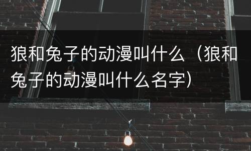 狼和兔子的动漫叫什么（狼和兔子的动漫叫什么名字）