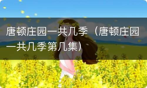 唐顿庄园一共几季（唐顿庄园一共几季第几集）