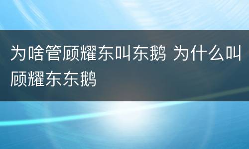 为啥管顾耀东叫东鹅 为什么叫顾耀东东鹅