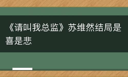 《请叫我总监》苏维然结局是喜是悲