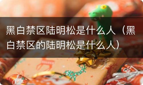 黑白禁区陆明松是什么人（黑白禁区的陆明松是什么人）