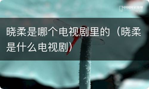 晓柔是哪个电视剧里的（晓柔是什么电视剧）