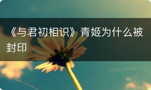 《与君初相识》青姬为什么被封印