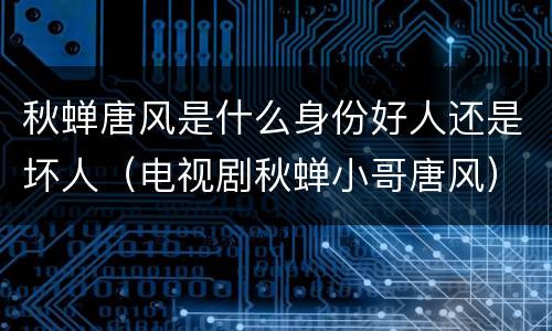 秋蝉唐风是什么身份好人还是坏人（电视剧秋蝉小哥唐风）