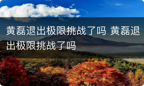 黄磊退出极限挑战了吗 黄磊退出极限挑战了吗