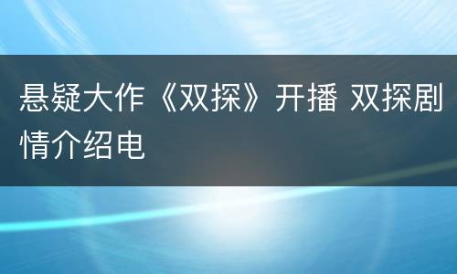 悬疑大作《双探》开播 双探剧情介绍电