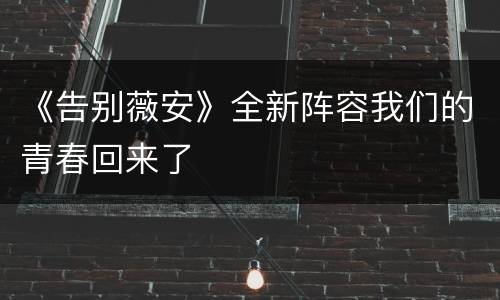 《告别薇安》全新阵容我们的青春回来了
