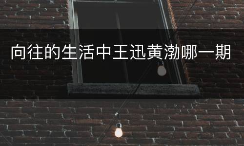 向往的生活中王迅黄渤哪一期