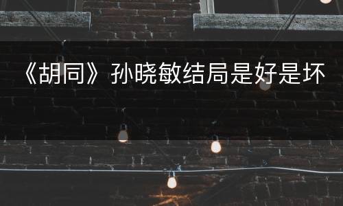 《胡同》孙晓敏结局是好是坏