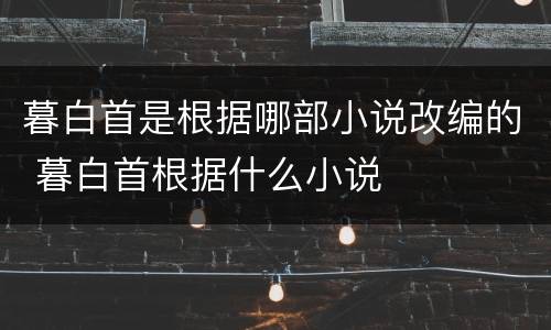 暮白首是根据哪部小说改编的 暮白首根据什么小说