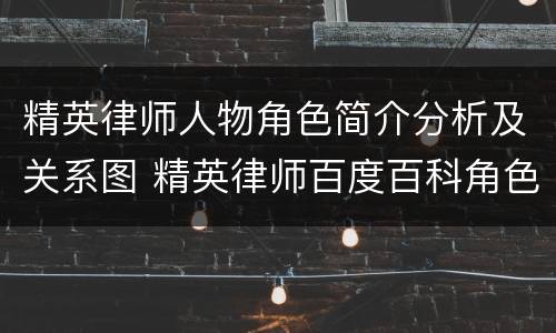 精英律师人物角色简介分析及关系图 精英律师百度百科角色介绍