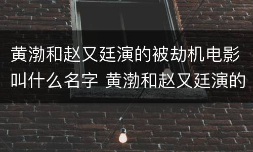 黄渤和赵又廷演的被劫机电影叫什么名字 黄渤和赵又廷演的被劫机电影