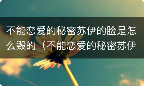 不能恋爱的秘密苏伊的脸是怎么毁的（不能恋爱的秘密苏伊毁容）