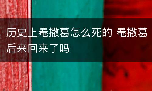 历史上罨撒葛怎么死的 罨撒葛后来回来了吗