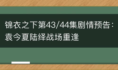 锦衣之下第43/44集剧情预告：袁今夏陆绎战场重逢