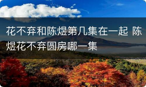 花不弃和陈煜第几集在一起 陈煜花不弃圆房哪一集